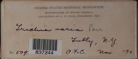 Image Associated With the Occurence